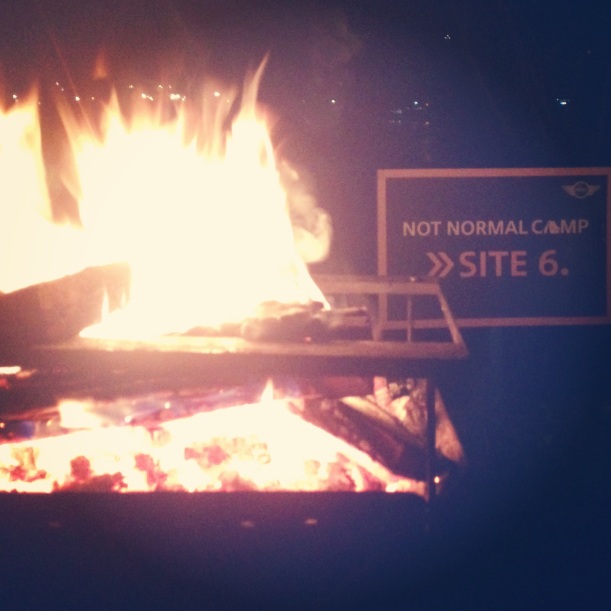 Allyman Camping Firepit